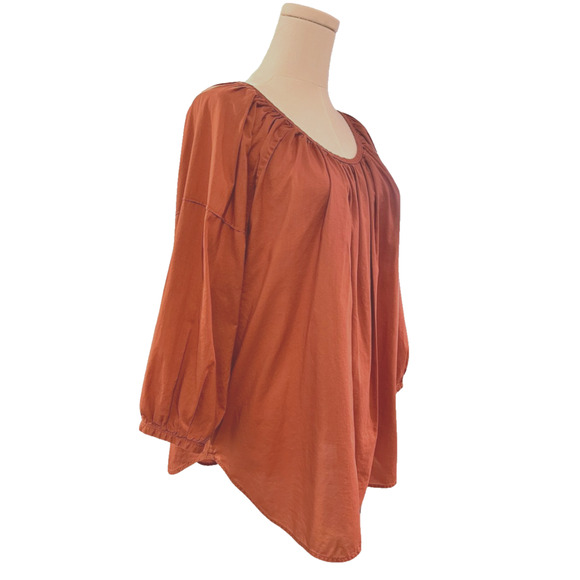 Everlane Sienna Brown Peasant Blouse Tie Back Neck Balloon Sleeves Size 12 - Picture 2 of 10